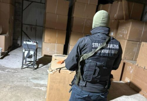 nielegalny tytoń, krajalnia tytoniu, susz tytoniowy, krajanka