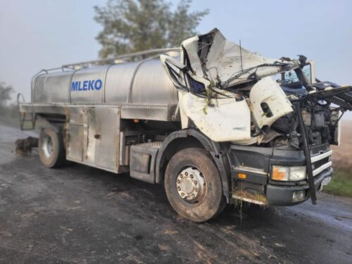 zderzenie, ciężarówka, mleczarka, drzewo