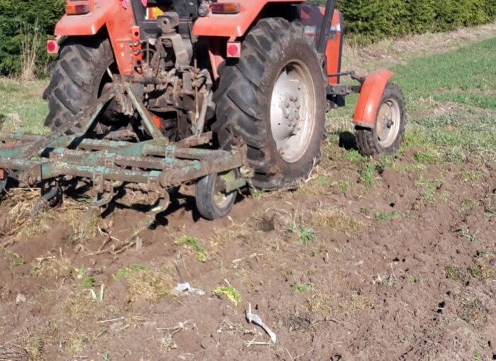 krir, rolnictwo węglowe, ekoschemat, międzyplony ozime