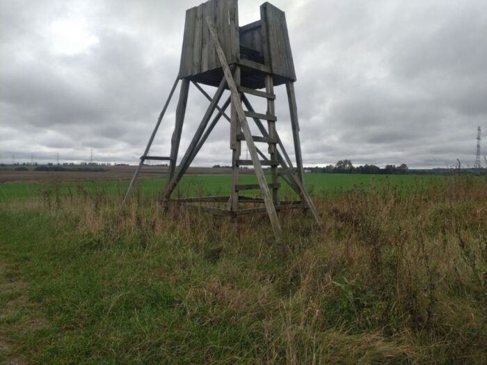 szerszenie, użądlony mężczyzna, myśliwy, ambona myśliwska