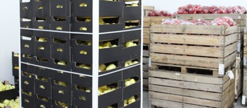 owoce, warzywa, organizacje producentów, grupy producentów