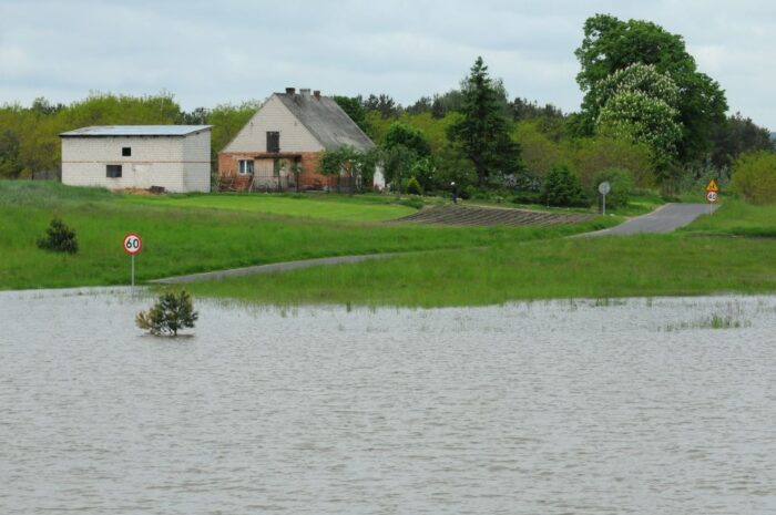 Inspekcja Weterynaryjna, główny lekarz weterynarii, padłe zwierzęta, środki do dezynfekcji