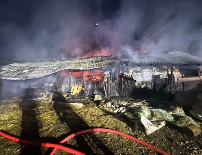 pożar, obora, bydło, spalone bydło