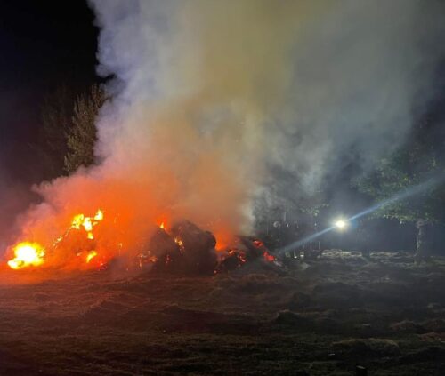 pożar, siano, baloty, owce