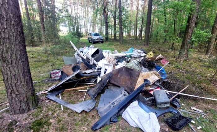 lasy państwowe, śmieci, śmieci w lesie, sprzątanie lasów