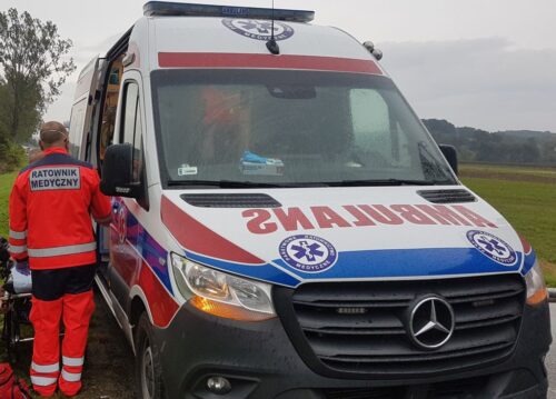 zwalczanie gryzoni, nornice, dzieci, prokuratura