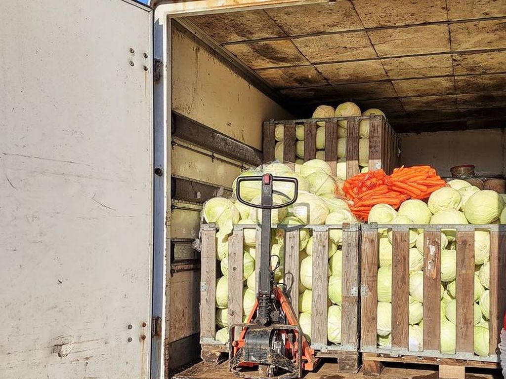 ijhars, inspekcja, kontrole, warzywa, owoce, ziemniaki, jakość handlowa, oznakowanie, kary, mandaty