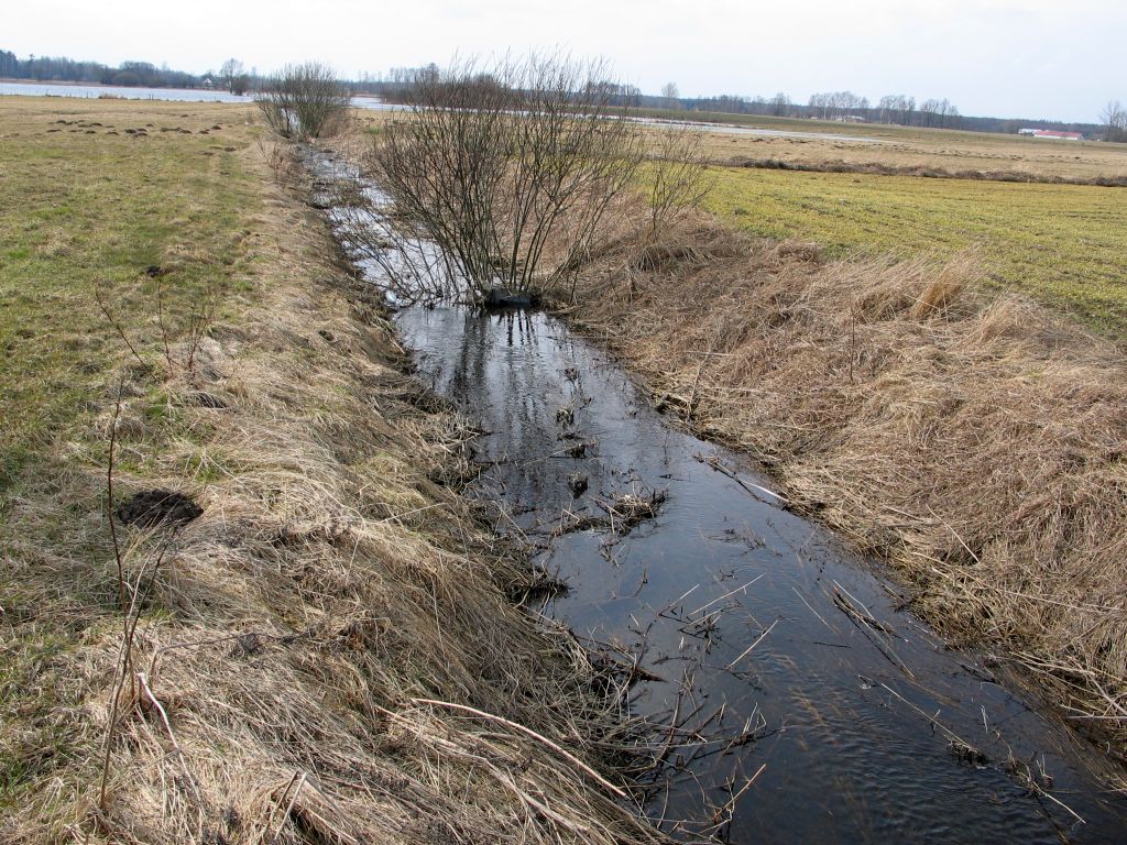 cieki wodne, drożność cieków, spółki wodne, bobry