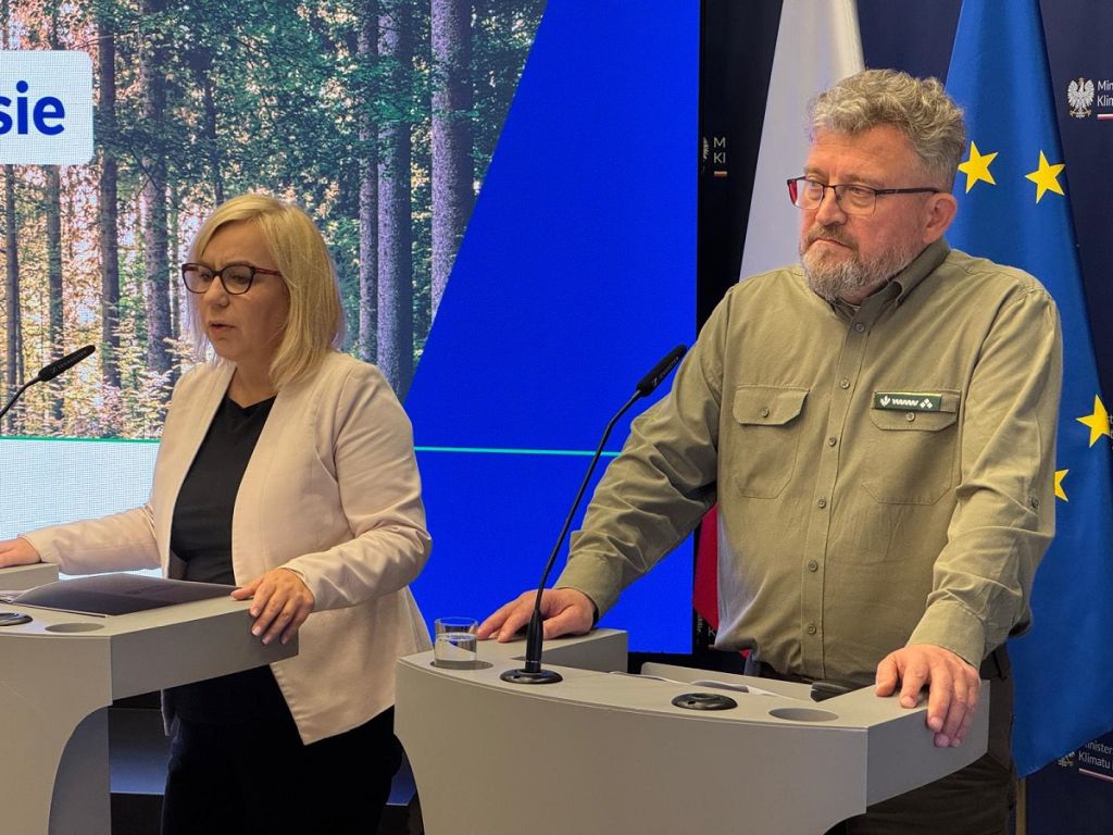 lasy państwowe, drewno, pozyskanie drewna, kupno drewna