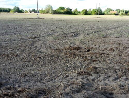 arimr, ceny ziemi, ceny gruntów, zakup ziemi