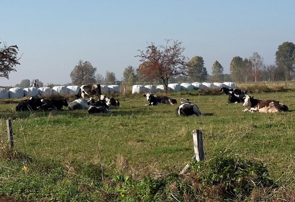 dania, podatek, co2, rolnictwo