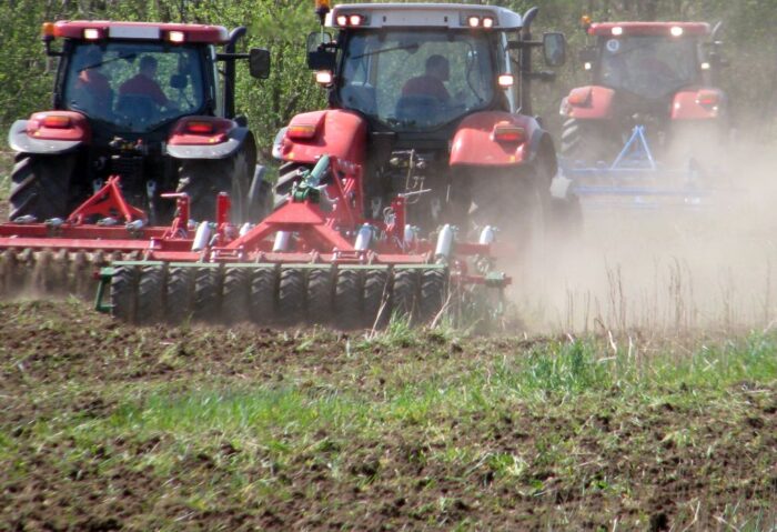 kgs, zagórski, gospodarstwa towarowe, żywność