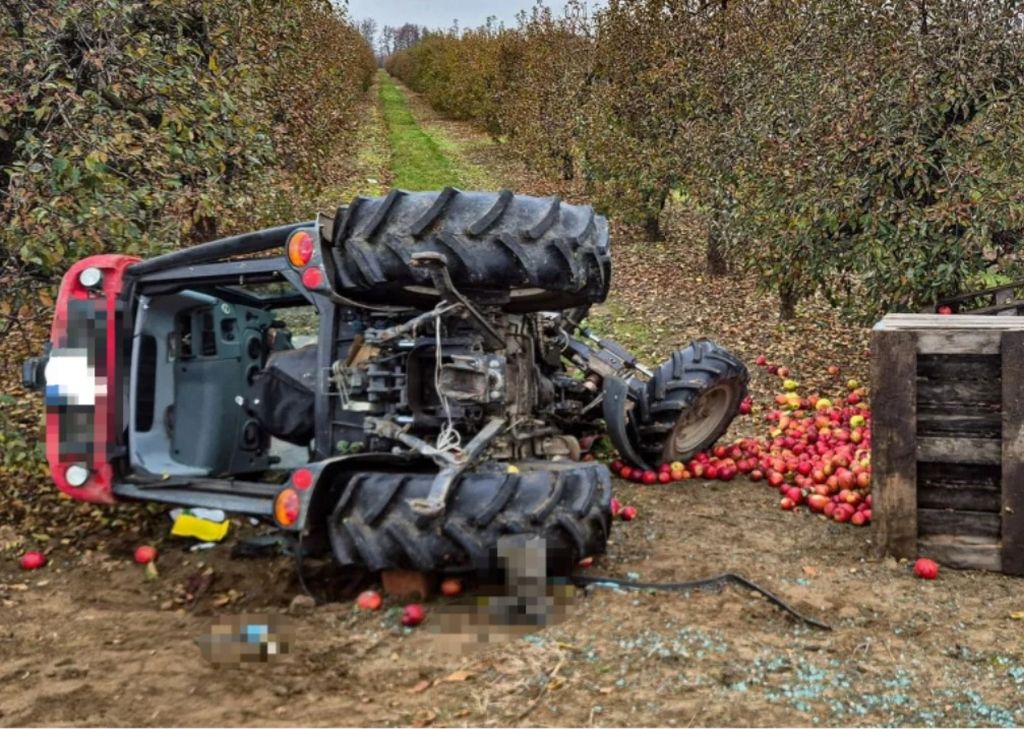 wypadek, transport jabłek, wywrócony ciągnik, przygnieciony kierowca