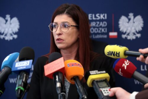 wścieklizna, ognisko wścieklizny, lis, atak lisa