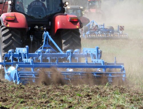 krir, rolnictwo węglowe, ekoschemat, międzyplony ozime