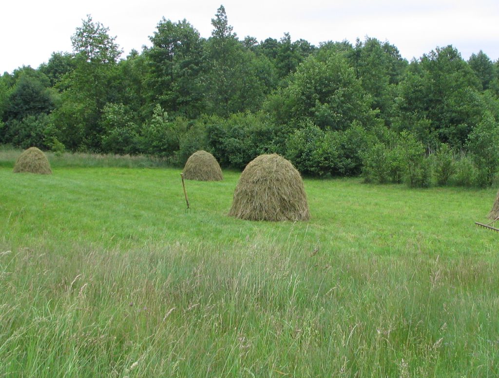 pir, parki narodowe, pokos, pasza