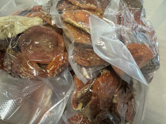 kpp sochaczew, sanepid, inspekcja sanitarna, muchmor