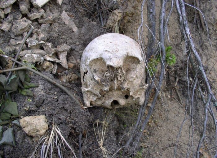 lubelszczyzna, odkrycie, szkielety, gospodarstwo rolne