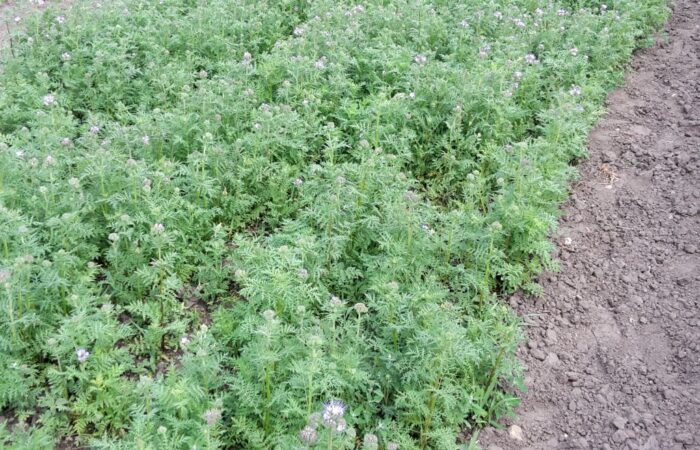 rząd, ustawa, nowelizacja ustawy, ubezpieczenie upraw