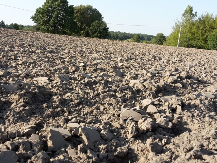 cpk, grunty, dzierżawa, rolnicy