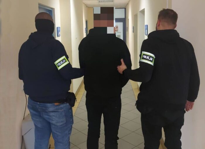 oszustwo, cielaki, zakup cieląt, zakup zwierząt