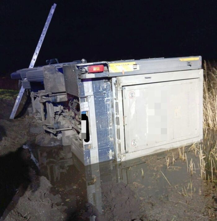 zdarzenie drogowe, wywrócona ciężarówka, transport trzody chlewnej, staw