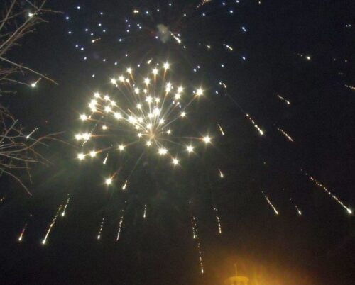 prop, ochrona przyrody, sylwester, fajerwerki, zwierzęta