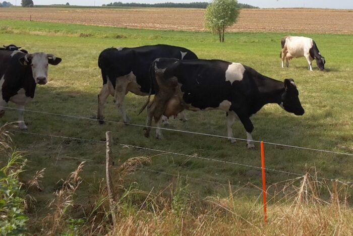 krir, kpo, dofinansowanie, budowa ogrodzenia