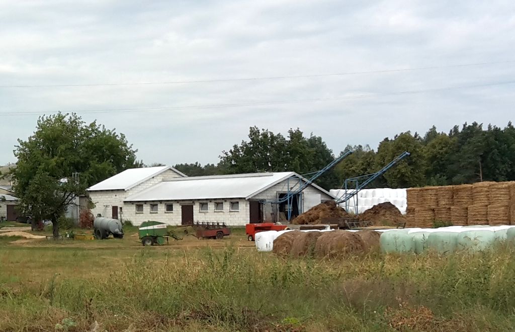 resort rolnictwa, mrirw, prow, modernizacja gospodarstw