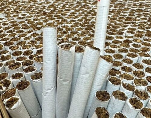 tytoń, branża tytoniu, budżet państwa, podatki