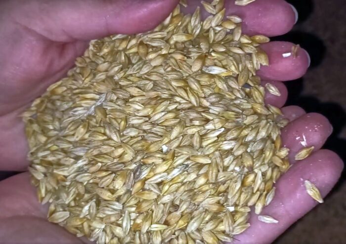 krir, mrirw, resort rolnictwa, skupy, badanie laboratoryjne