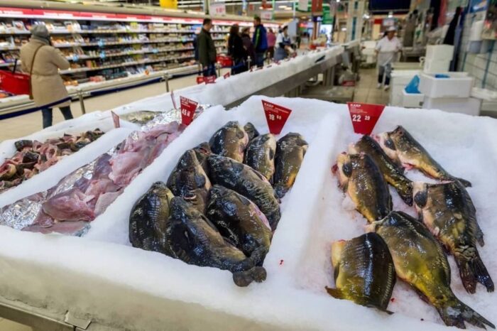 święta, ryby, karp, śledź