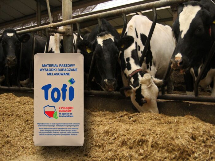 Pfeifer & Langen Polska, Tofi, suszone wysłodki, wysłodki Tofi, melasa dring Tofi, buraki, hodwocy bydła, żywienie bydła