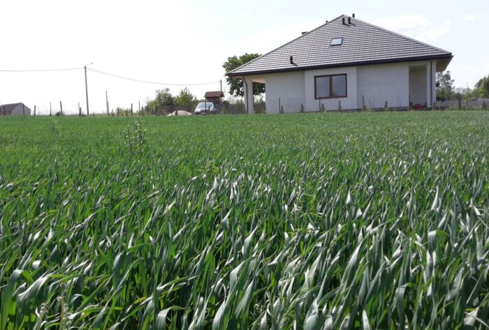 krir, obszary wiejskie, produkcja rolna, napływowi mieszkańcy