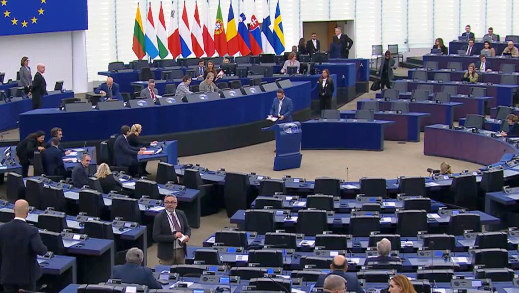 europarlament, przepisy, wylesianie, rolnicy