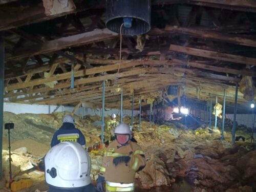 akcja ratownicza, kurnik, ocieplenie dachu, padły drób