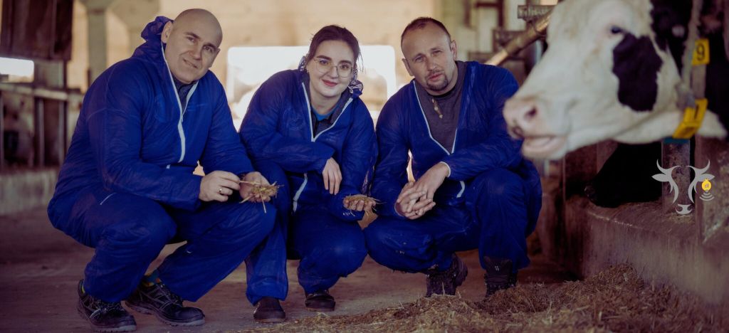 emastitis, bydło mleczne, krowy mleczne, mastitis, zapalenie wymienia, międzynarodowa konferencja, SGGW, hodowcy