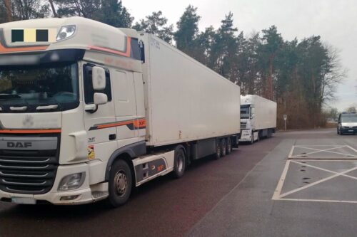 witd lublin, kontrola, przewóz drogowy, frytki