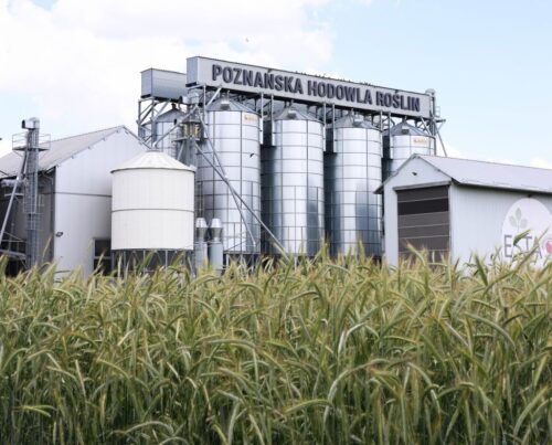 phr, dotacja, projekt, odmiany roślin