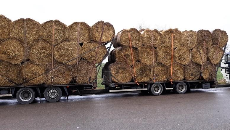 zabezpieczenie ładunku, bela kukurydzy, uszkodzone auto, mandat