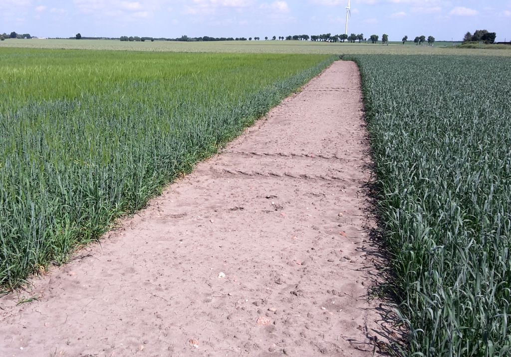 ochrona ziemi rolnej, ziemia rolna, ochrona gruntów, sprzedaż ziemi