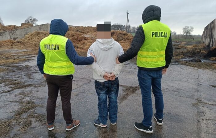 pożar, słoma, podpalenie, podpalacz