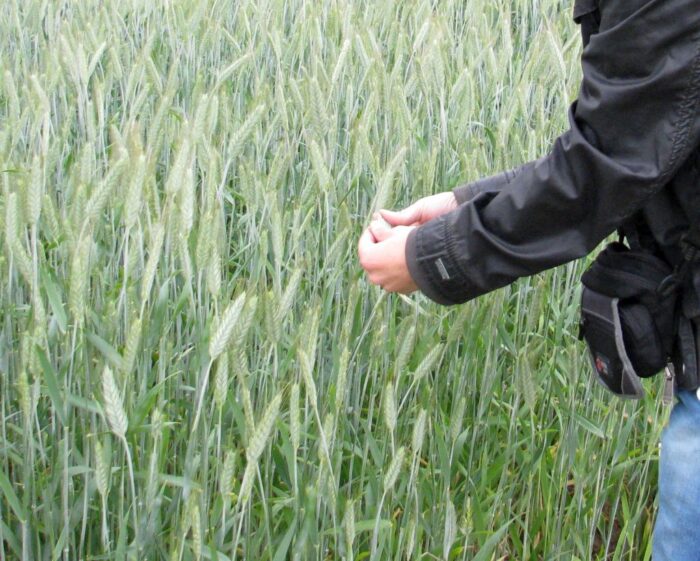 mrirw, kontrole, kontrola na miejscu, zapowiedź kontroli