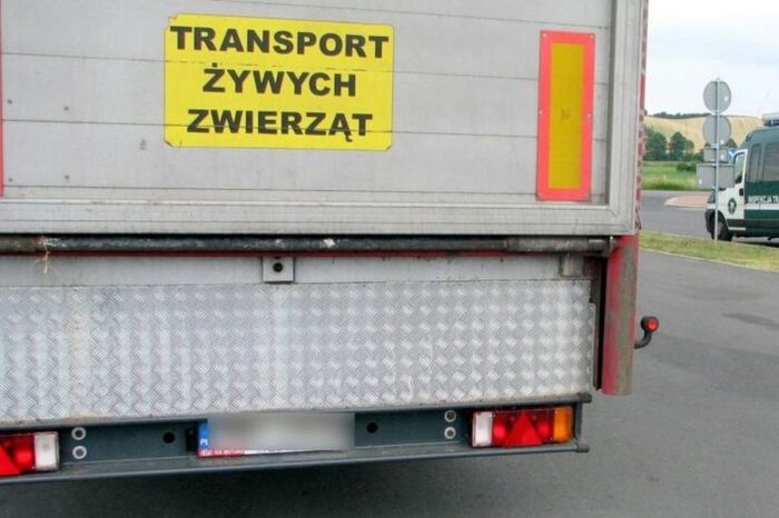 dobrostan zwierząt, przewóz zwierząt, transport zwierząt, rozporządzenie