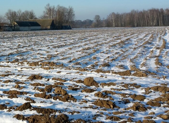 mrirw, nawożenie, wiosenne nawożenie, program azotanowy