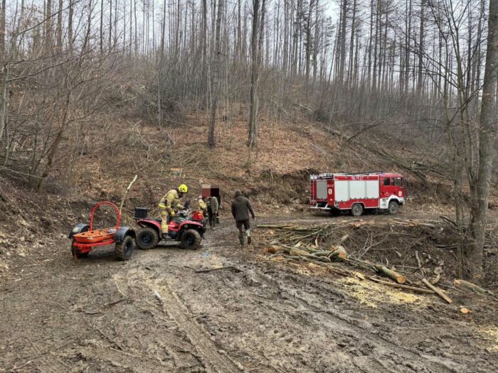 prace leśne, wypadek, wycinka drzew, wypadek podczas prac leśnych