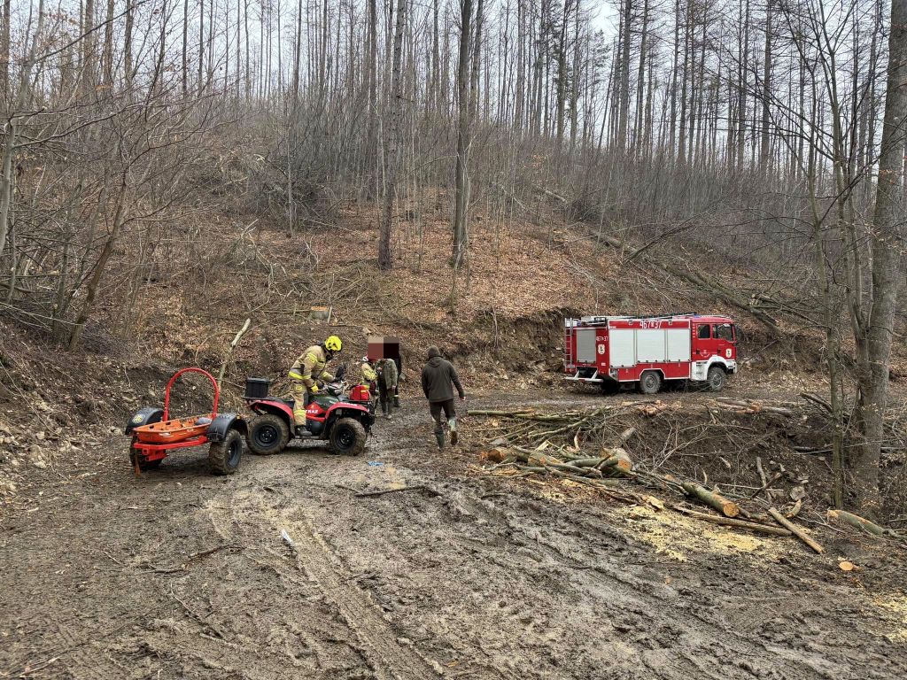 prace leśne, wypadek, wycinka drzew, wypadek podczas prac leśnych