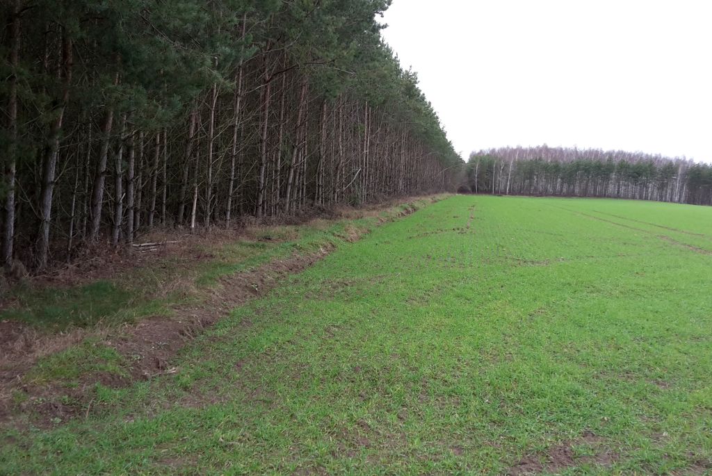 mkiś, resort klimatu, zwierzęta łowne, parki narodowe