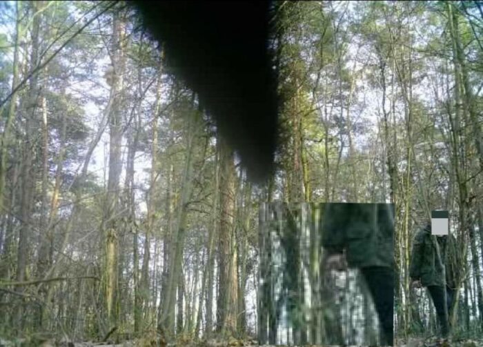 strażnicy leśni, kłusownictwo, pułapka, wnyki