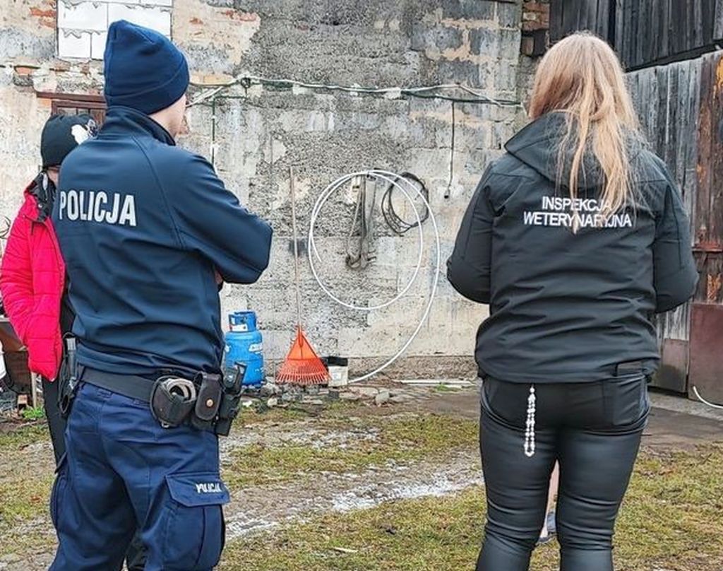 kmp jelenia góra, kontrole, utrzymywanie zwierząt, zwierzęta